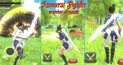 Samurai Fighter - Warrior of Usuki截图4