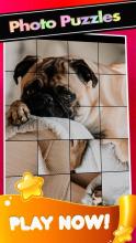 Pugs PicturesThe Cute Pug Puzzle Game截图2