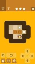 Push Maze Puzzle截图1