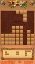 Classic Wood Block Puzzle截图3