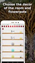 Lucky tree - plant your own tree截图2