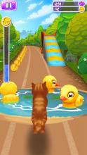 Pet Run - Puppy Dog Game截图1