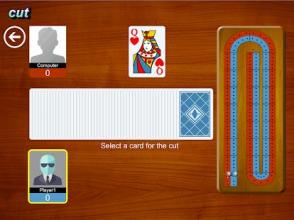 Cribbage Card Game (Crib Cribble)截图3