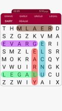 Word Search - English截图1