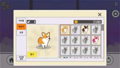 TapTap Corgi截图2