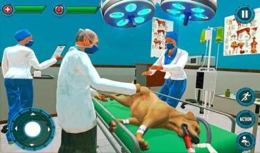 Pet Hospital Vet Clinic Animal Vet Pet Doctor Game截图4