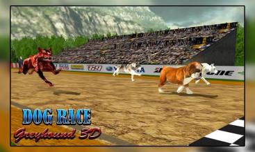 Dog Racing  Dog Simulator Dog racing games截图1