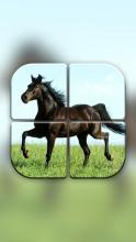 Horse Puzzle Games for Girls截图2