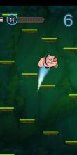 pig Jump截图2