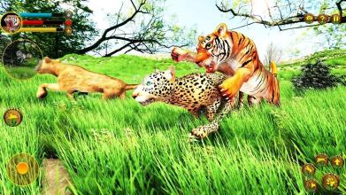 Wild Tiger Simulator 3d animal games截图5