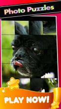 Pugs PicturesThe Cute Pug Puzzle Game截图3