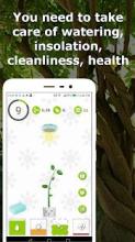 Lucky tree - plant your own tree截图5