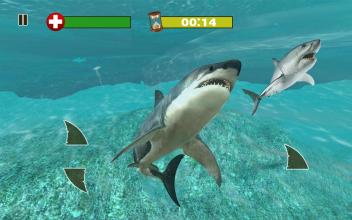 HUNGRY SHARK SIMULATOR ATTACK截图5