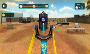 Slingshot Bird Hunt 3D Shooting Range Fun Game截图4