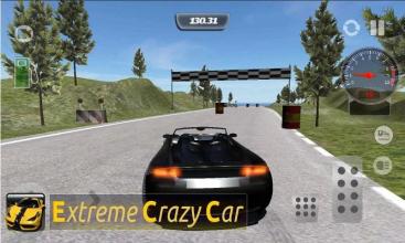 Extreme Crazy Car截图1