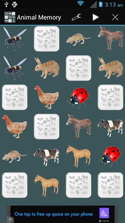 Animal Memory截图2