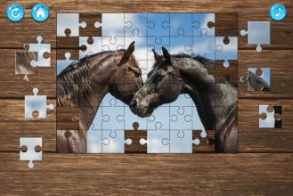 Horse Puzzle Game截图1