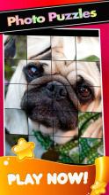 Pugs PicturesThe Cute Pug Puzzle Game截图1