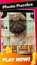 Pugs PicturesThe Cute Pug Puzzle Game截图5