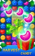 Candy Garden Legend截图4