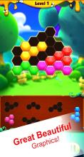 Hexagon 2019- Hexa Block Puzzle截图4