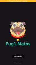 Pug Maths截图2