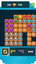 Block Puzzle Legend  Block Puzzle Classic截图5