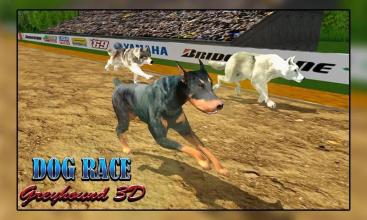 Dog Racing  Dog Simulator Dog racing games截图4