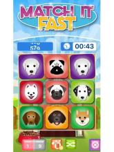 Match It Fast截图4