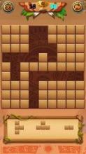 Classic Wood Block Puzzle截图5