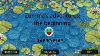 Zumma's adventures: the beginning截图1