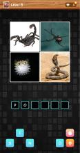 4 Pics 1 Word  Funny Puzzle Game截图2