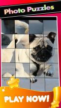 Pugs PicturesThe Cute Pug Puzzle Game截图4