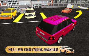 3d Multistory Prado Car Parking City Adventure截图4