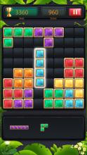 1010 Blck Puzzl Gam Classc截图2