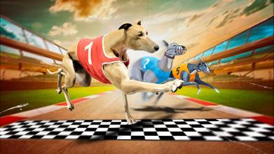 Dog Crazy Race Simulator 2019截图1