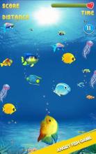 Angry Fish Attack Frenzy Fishing Kids Games截图1