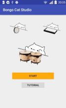 Bongo Cat Studio截图2