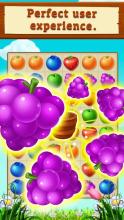 Funny Fruit Splash截图4