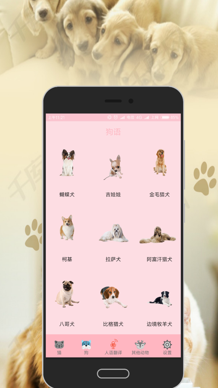 人猫交流器v3.2.1截图3