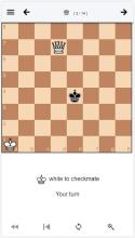 Chess Endgame Training截图2