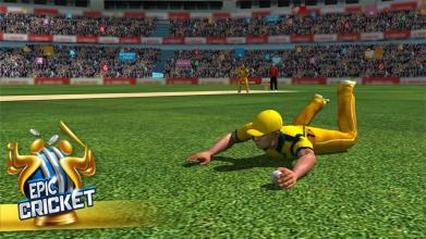 Epic Cricket - Big League Game截图5