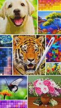 Cross Stitch Joy截图1