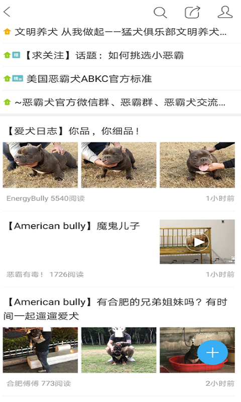 猛犬俱乐部v20249截图3