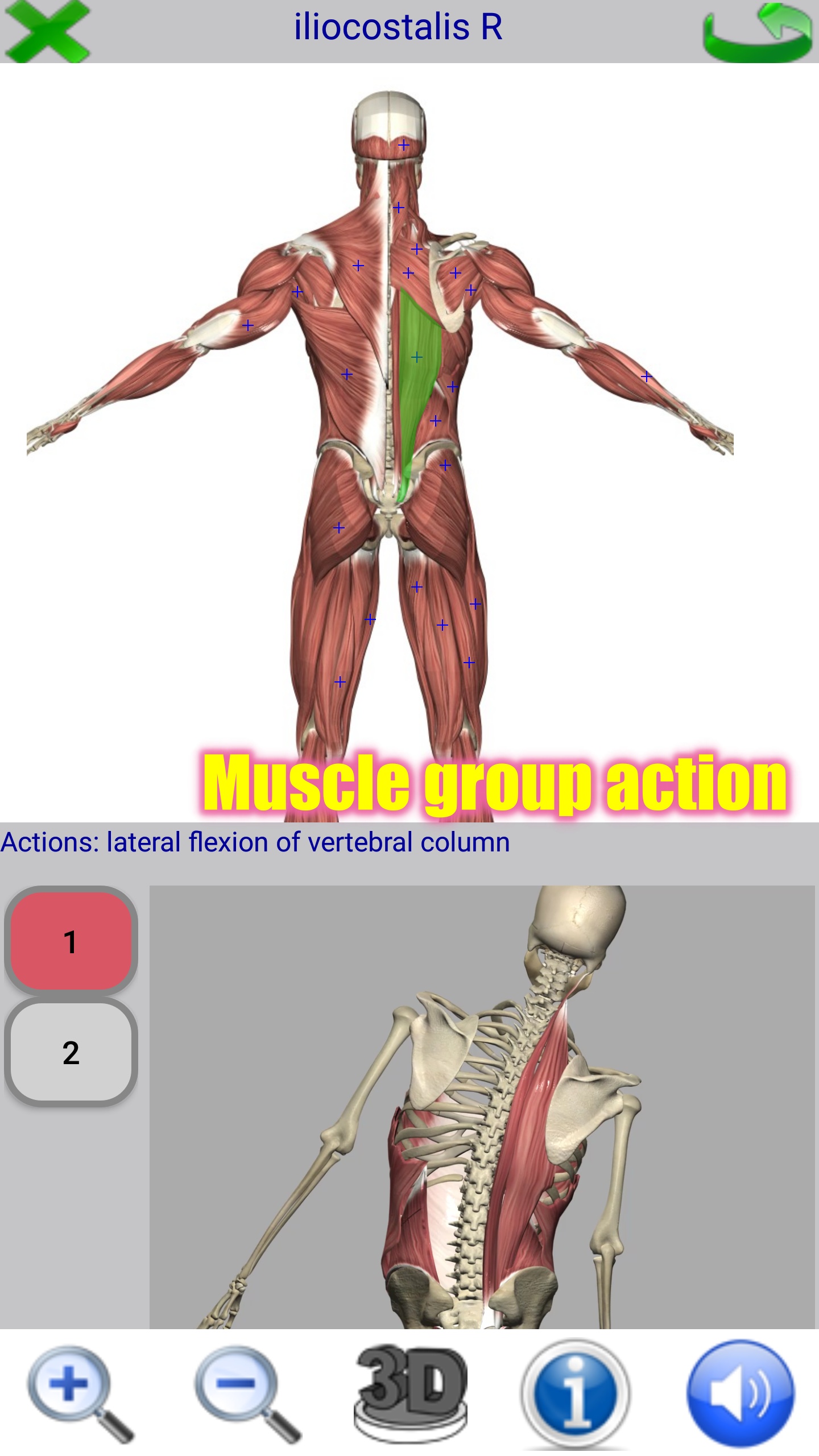 Visual Anatomy Free截图4