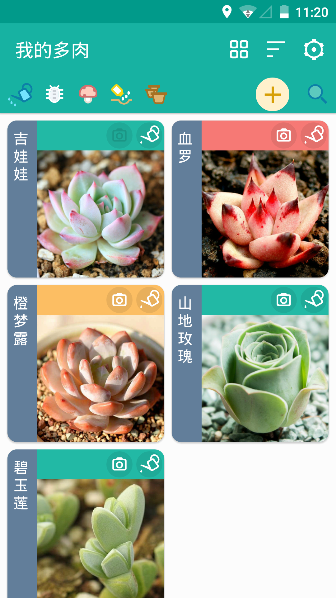 多肉成长记v3.1.6截图1