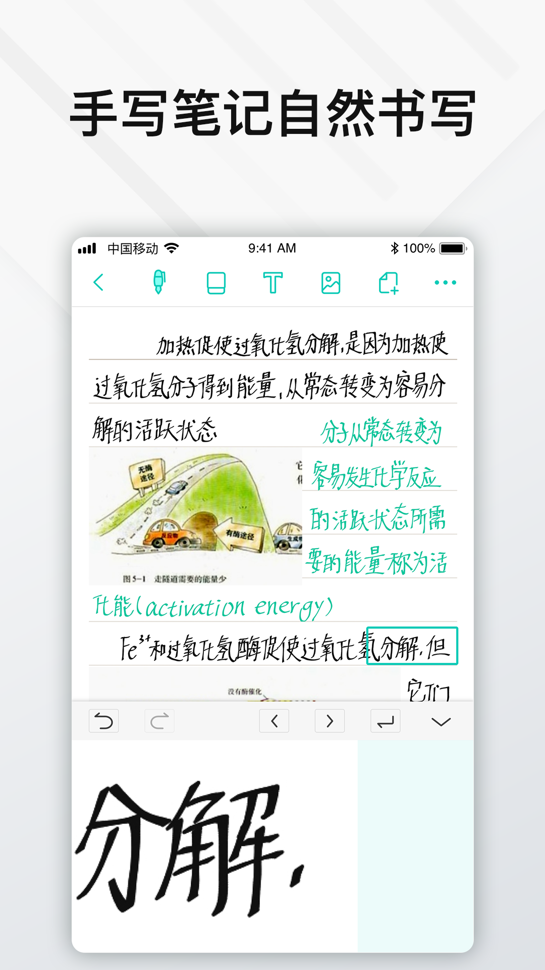 Elfinbook易飞v4.0.3截图3