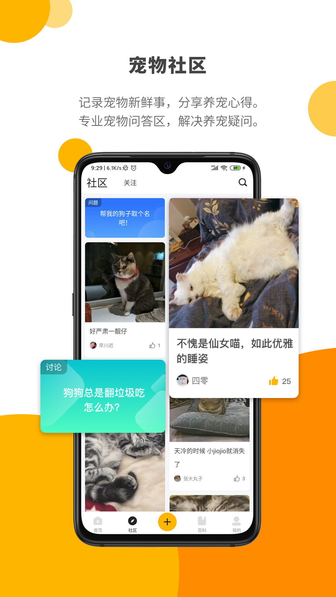 Paw Lab截图3