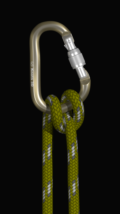 Knots3D截图4