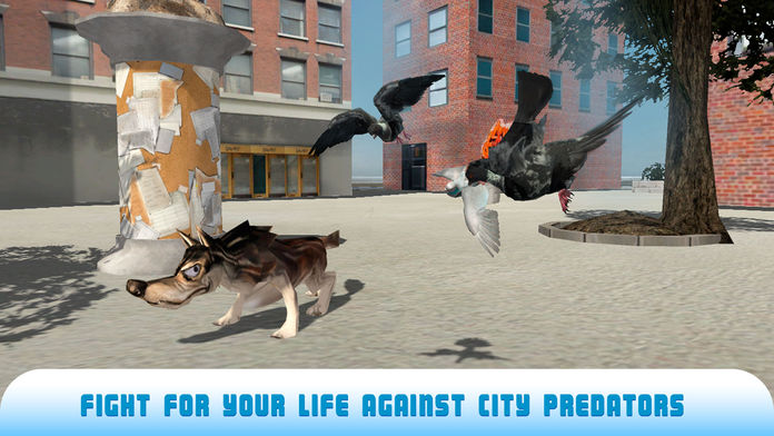 PigeonBirdSurvivalSimulator3D2Full截图1